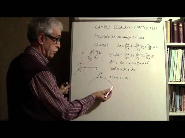 Qué son los campos vectoriales en 2D y cómo funcionan
