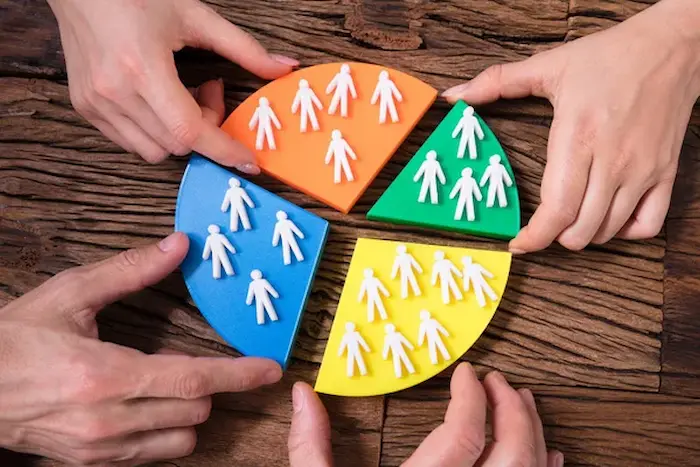 Qué son los principios y aplicaciones de la segmentaria en diseño