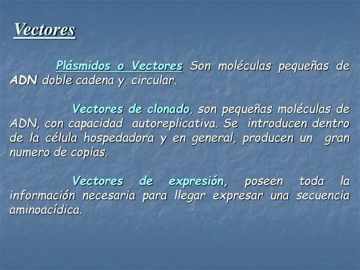 Qué son los vectores de traducción y cuál es su función