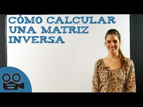 Quieres aprender sobre matrices inversas con ejemplos y ejercicios