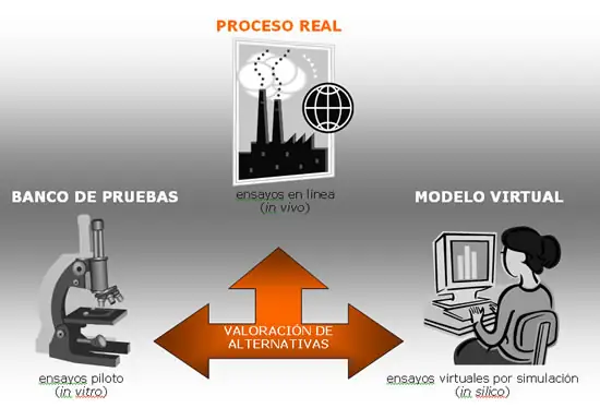 Tipos de modelos matemáticos: Ejemplos y definición clara