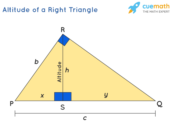 Triangles Properties: Discover the Essential Characteristics